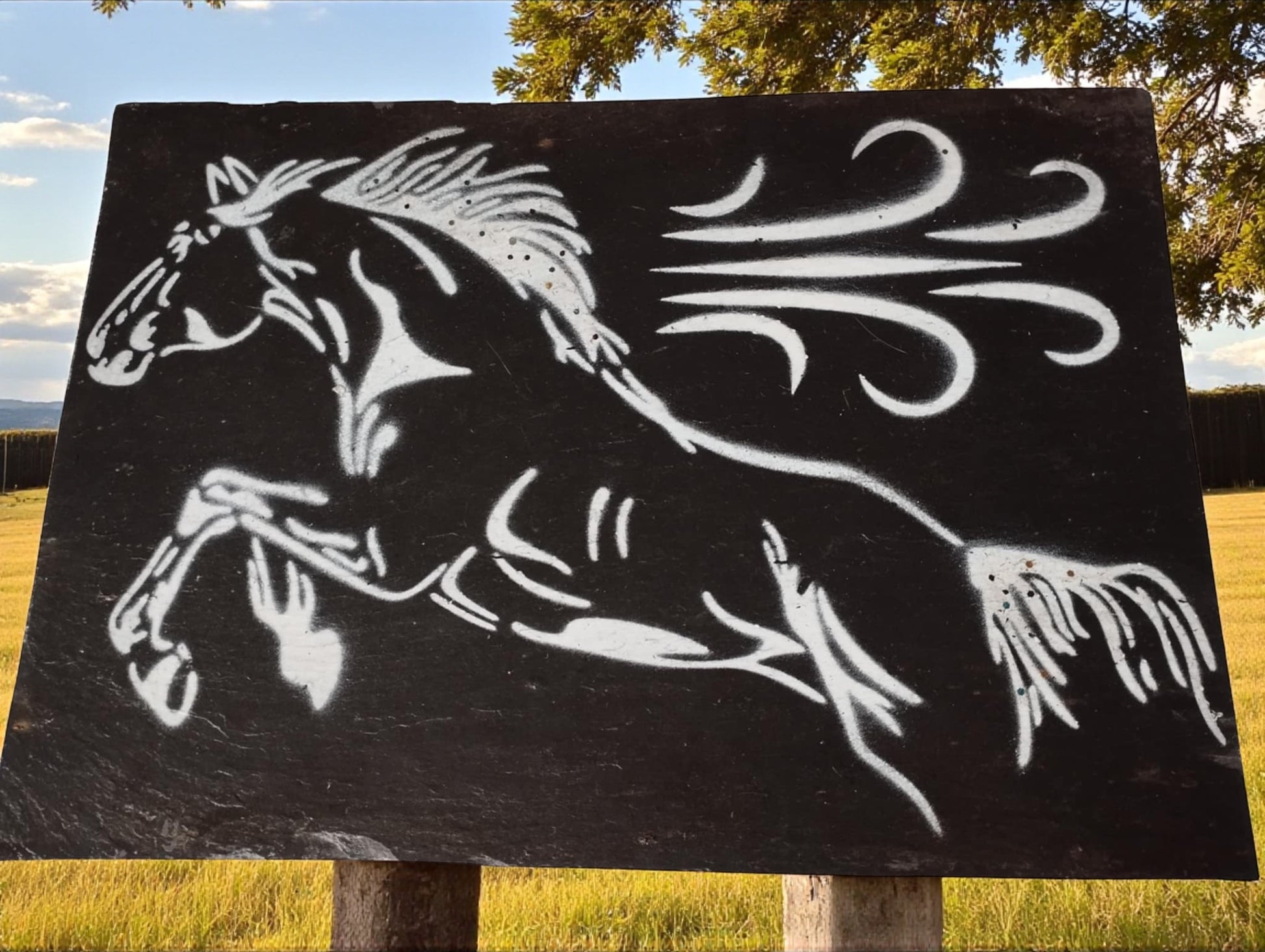 Ardoise peinte représentant un cheval avec strass sur la crinière et la queue, vernis satiné

Peinture artisanale sur pierre naturelle – motif cheval décoré de strass